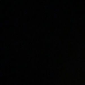 Meet your Posher, Salena